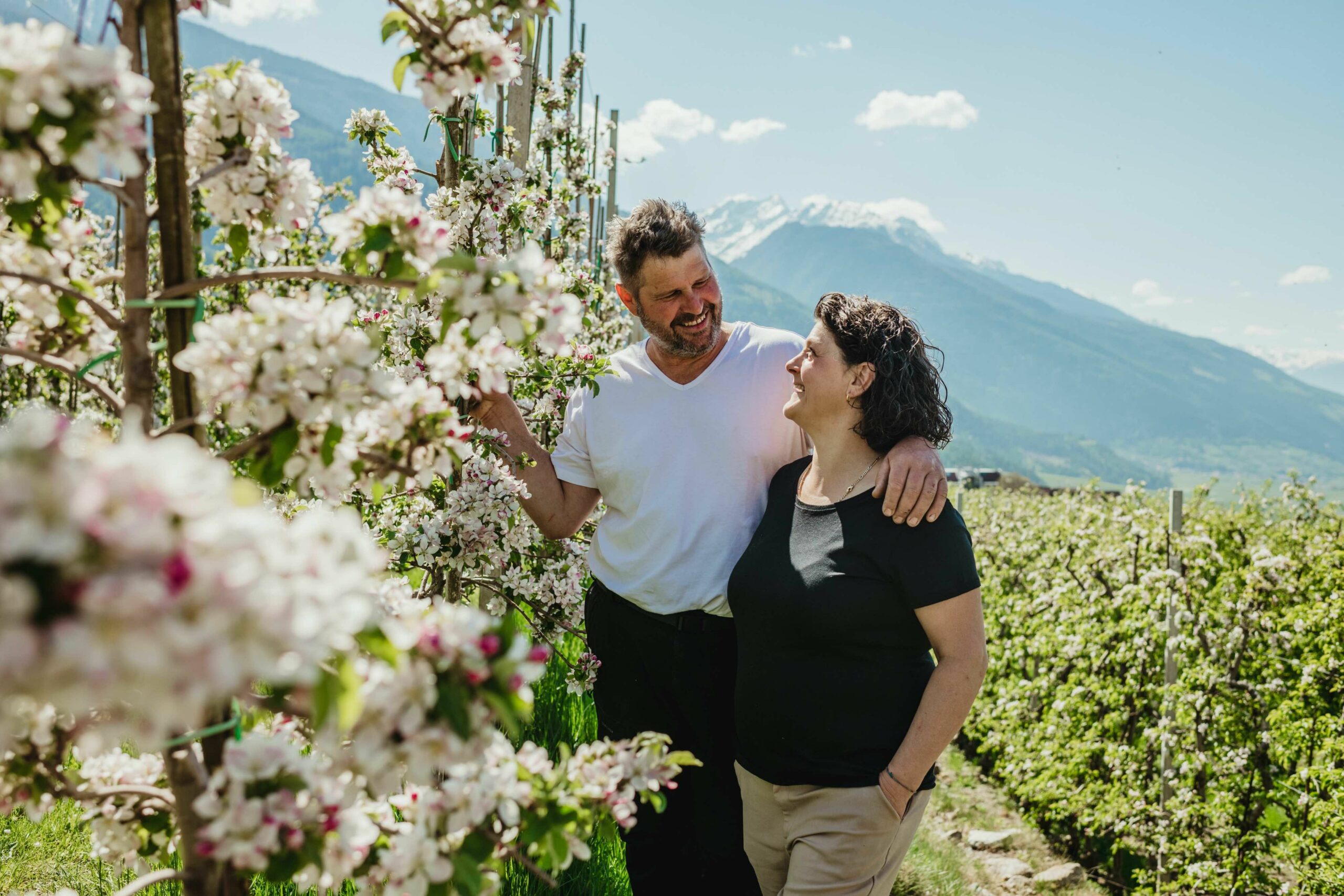 La floración de los manzanos de Val Venosta: un espectáculo de naturaleza