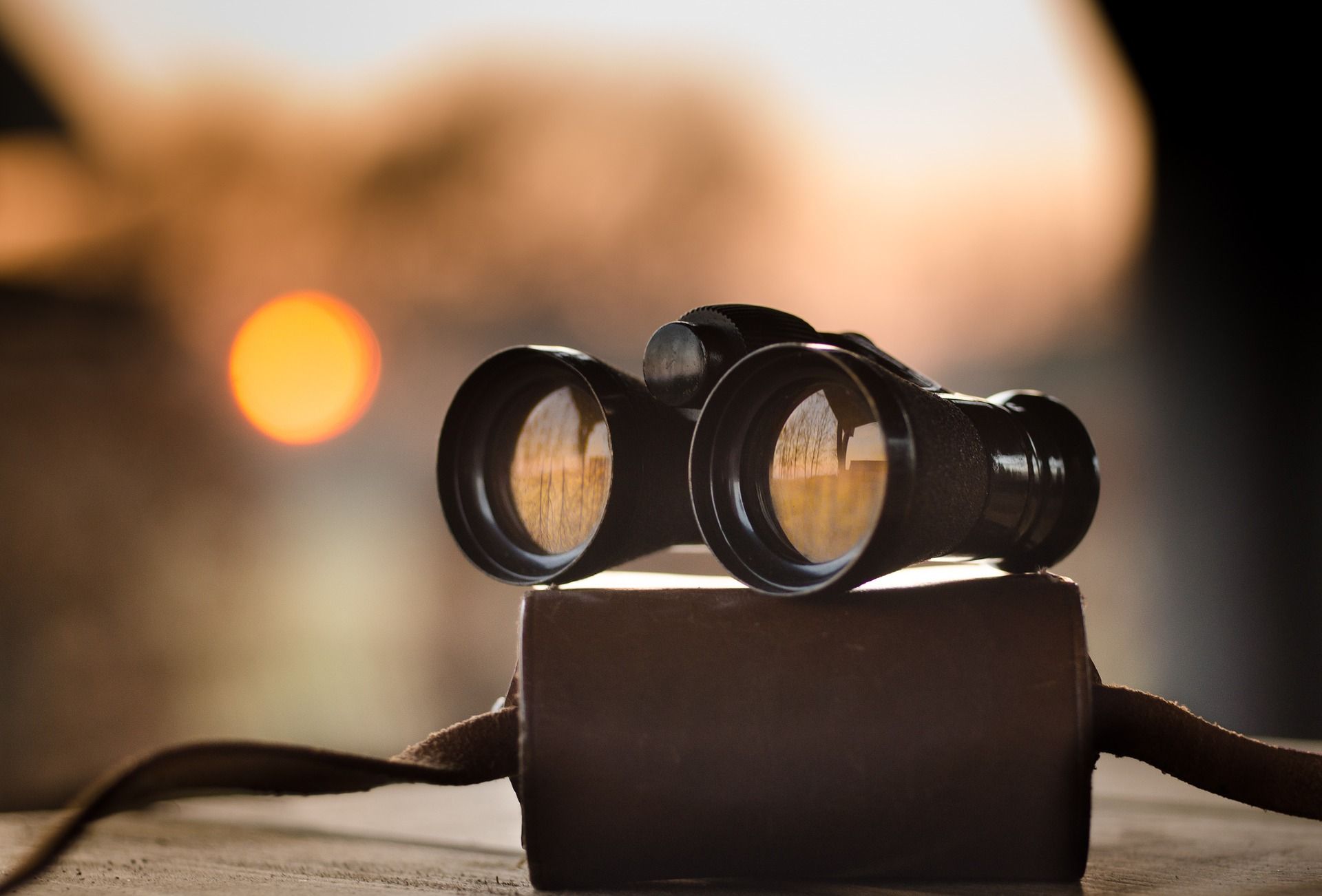 Prismáticos nocturnos: cómo funcionan según Prismatico.top