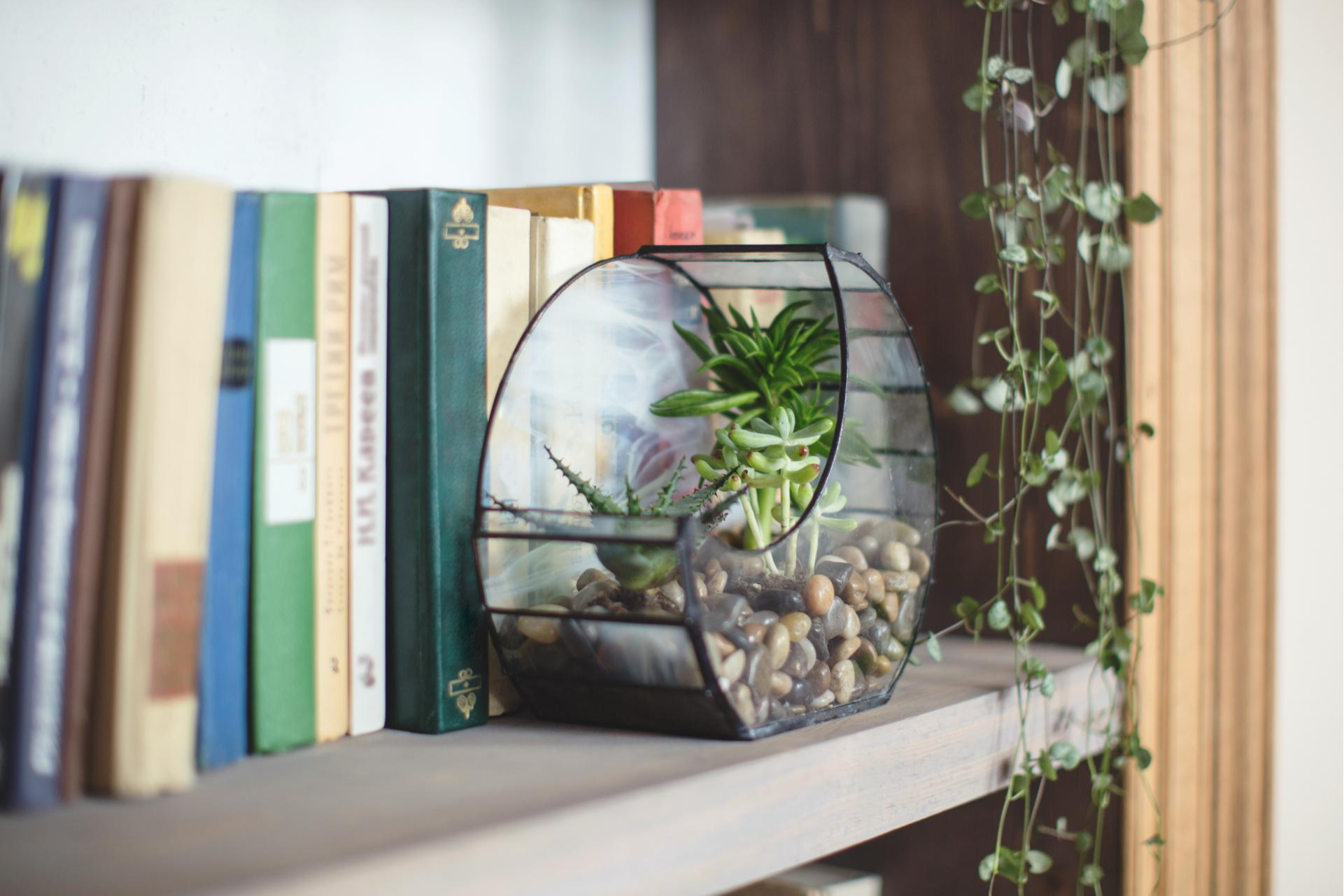 Casas con Feng Shui, el servicio que ofrece Área Feng Shui