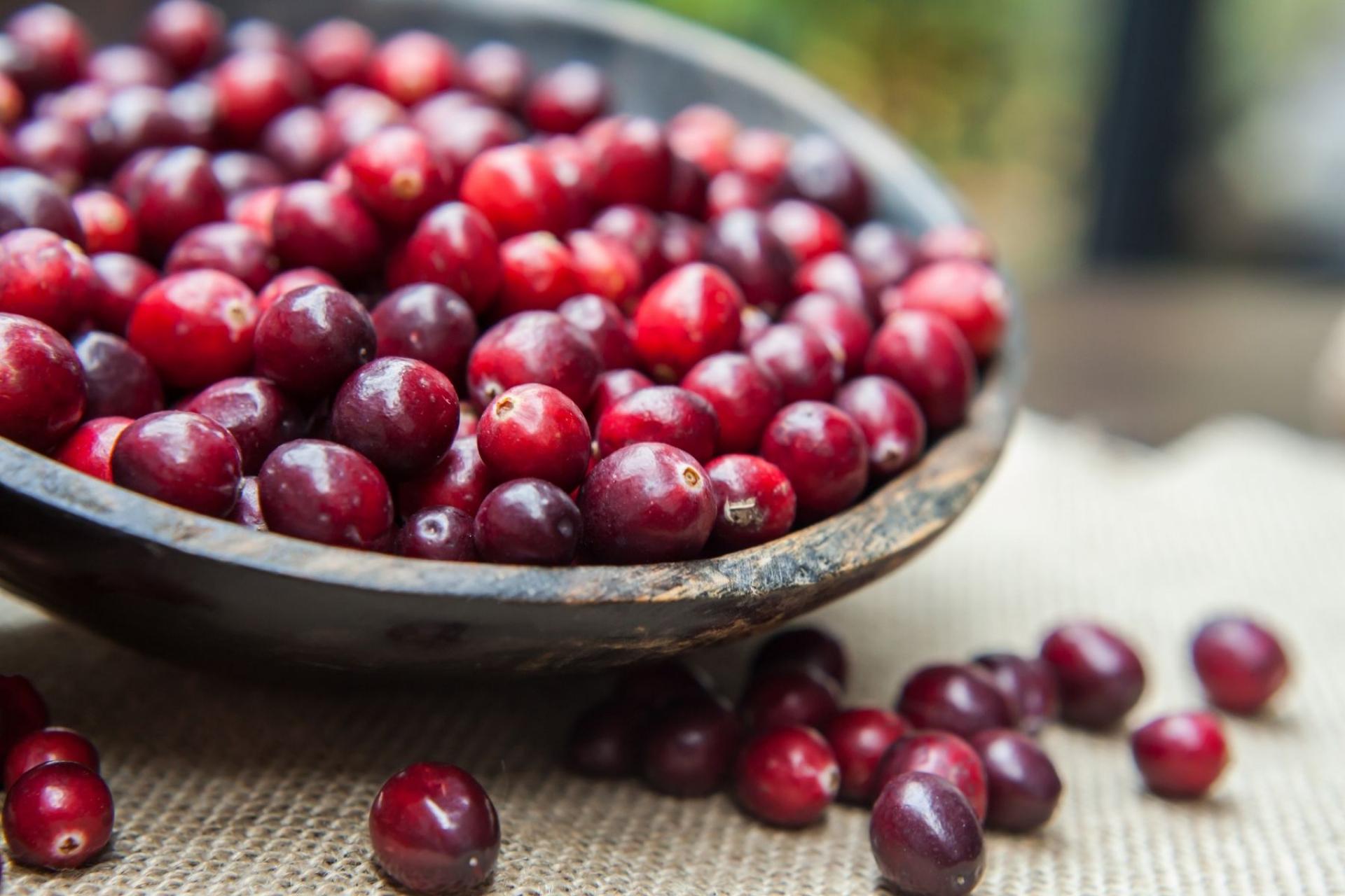 Uriex Cápsulas: las propiedades del complemento alimenticio que reduce las infecciones urinarias