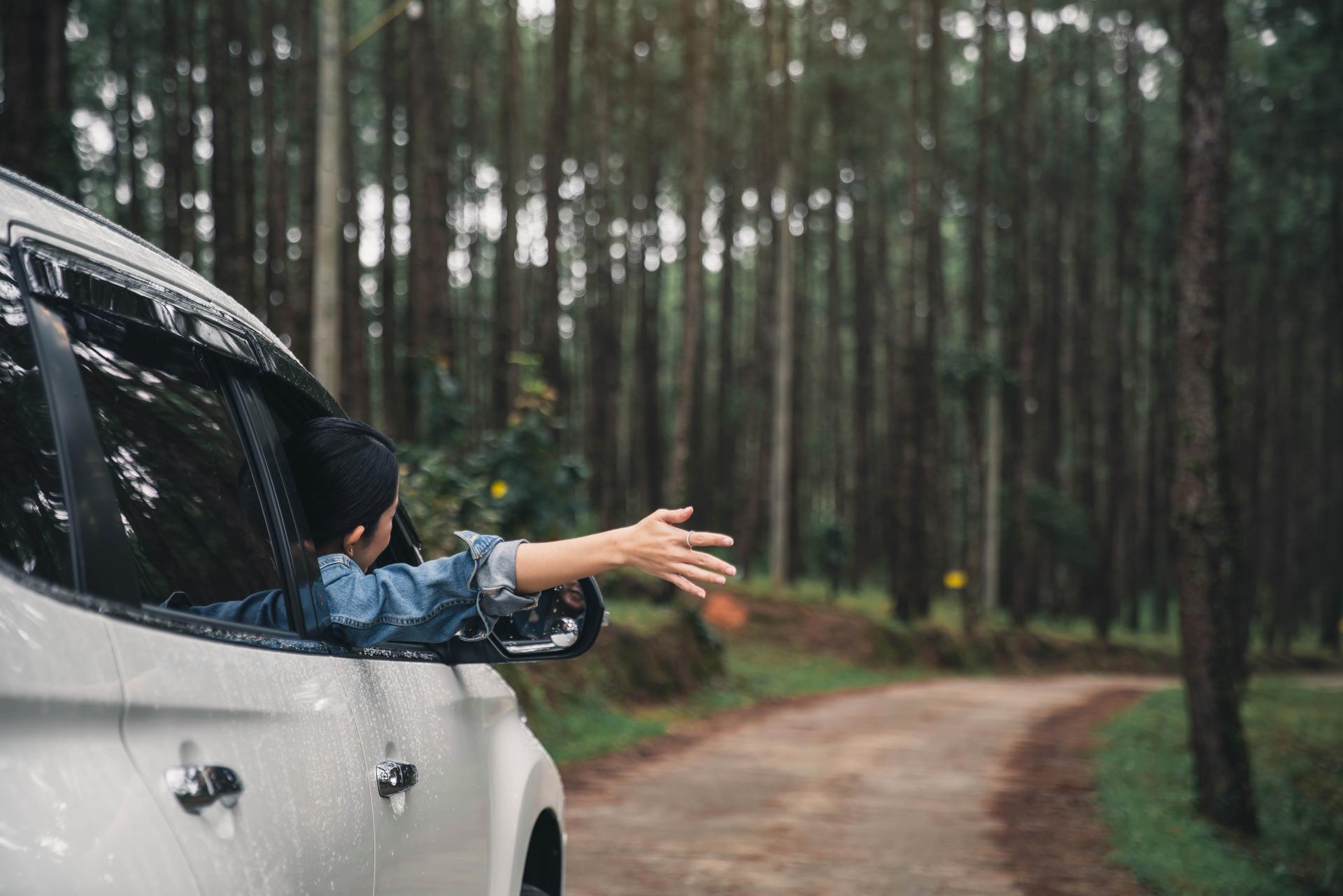 Una de las mejores opciones de viaje para familias y amigos es el turismo rural