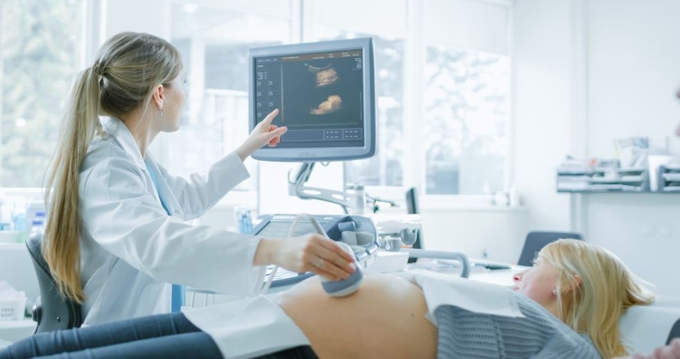 La concentración de derivados de la grasa corporal en los ovarios permite anticipar el éxito o fracaso de los tratamientos de fertilidad