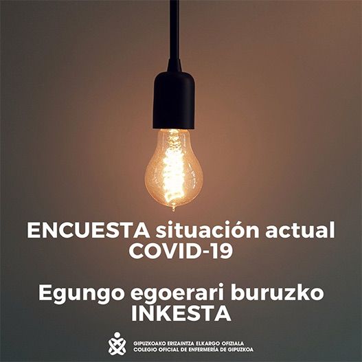 Un 21% de las enfermeras guipuzcoanas se ha contagiado de COVID-19, según una encuesta del COEGI