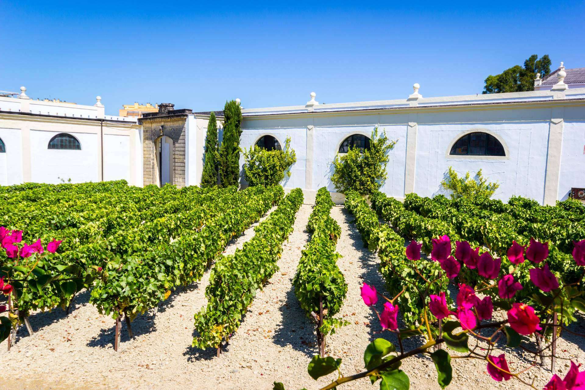 Los vinos de Jerez que se deben probar en De Gálvez: El marco de Jerez