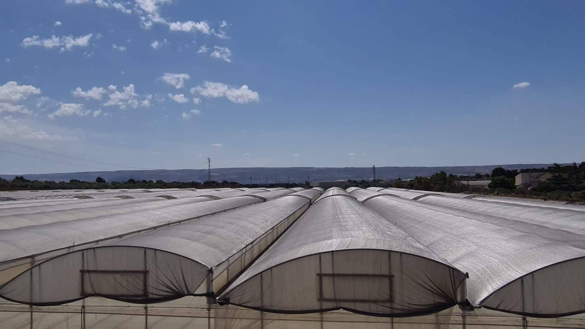 Malla termodifusora con partículas de aluminio: mejorar la calidad de los cultivos gracias a la compañía AGRALIA