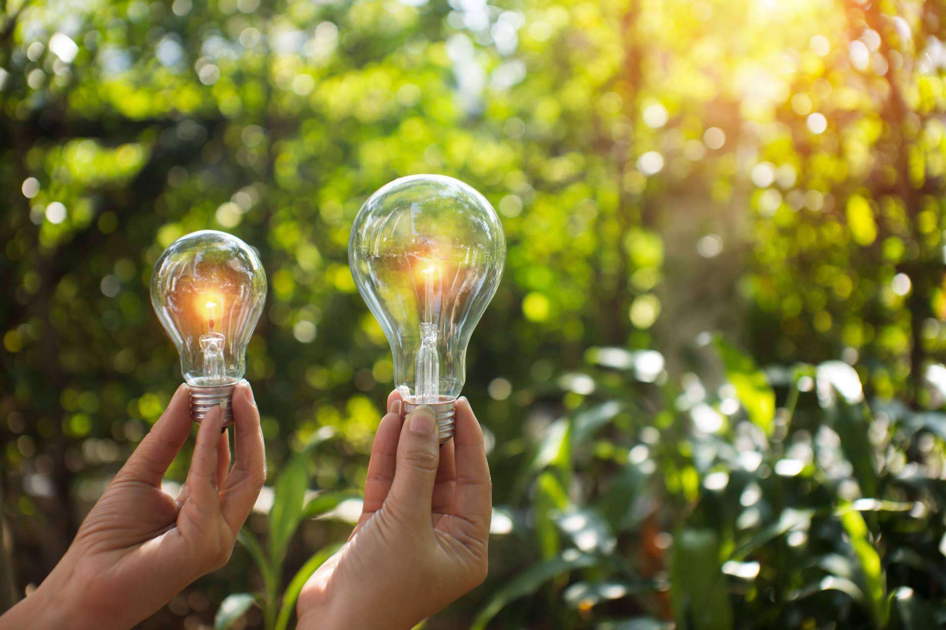 Según P&L Global, Colombia se convierte en el mejor país para establecer una empresa de energías renovables