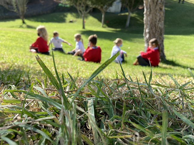 Colegio Alborán: Educar en un entorno natural, parte del crecimiento integral de los alumnos