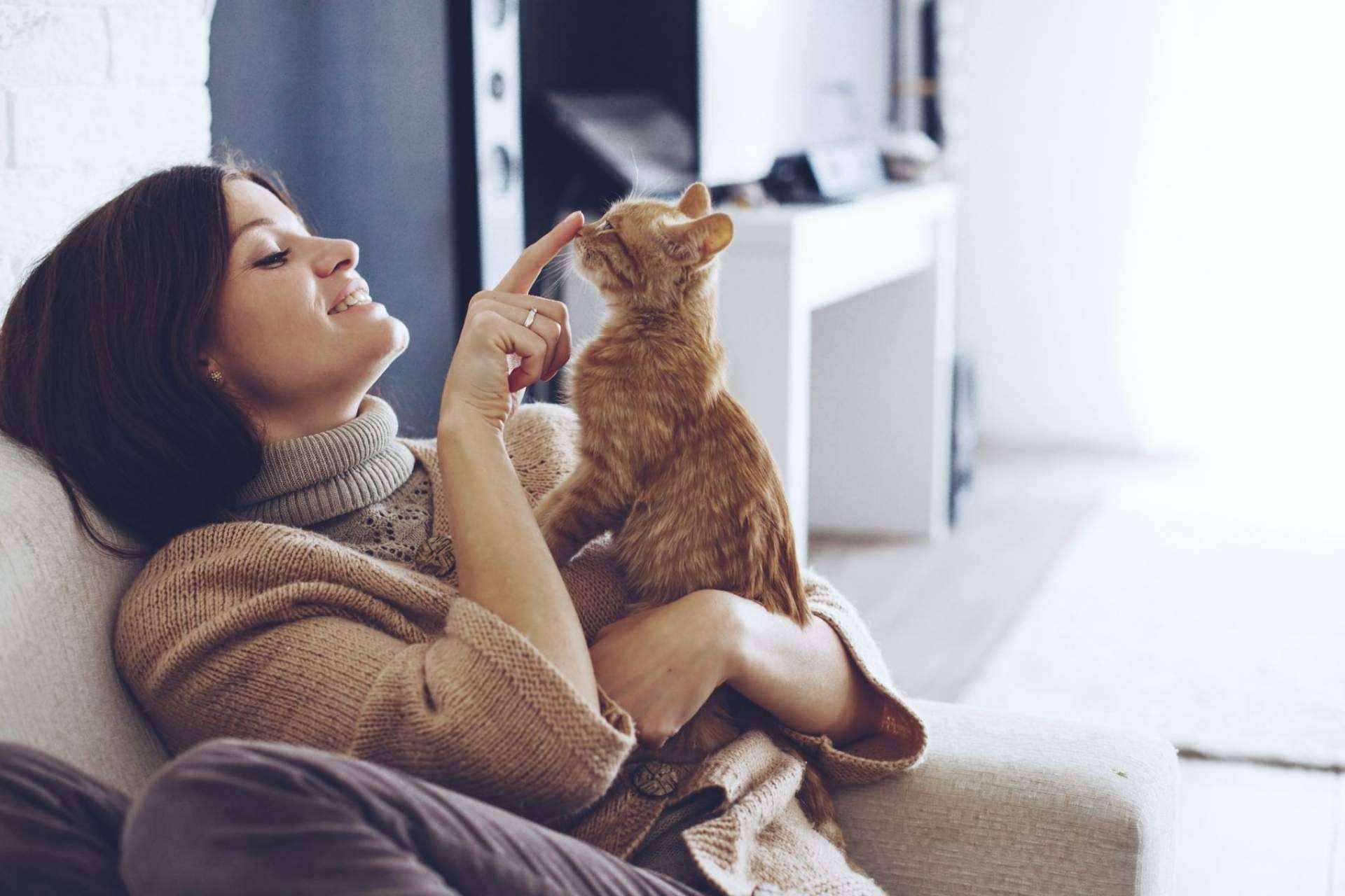 Miwuki Pet Shelter promueve la adopción en pleno auge de abandono de animales tras la pandemia