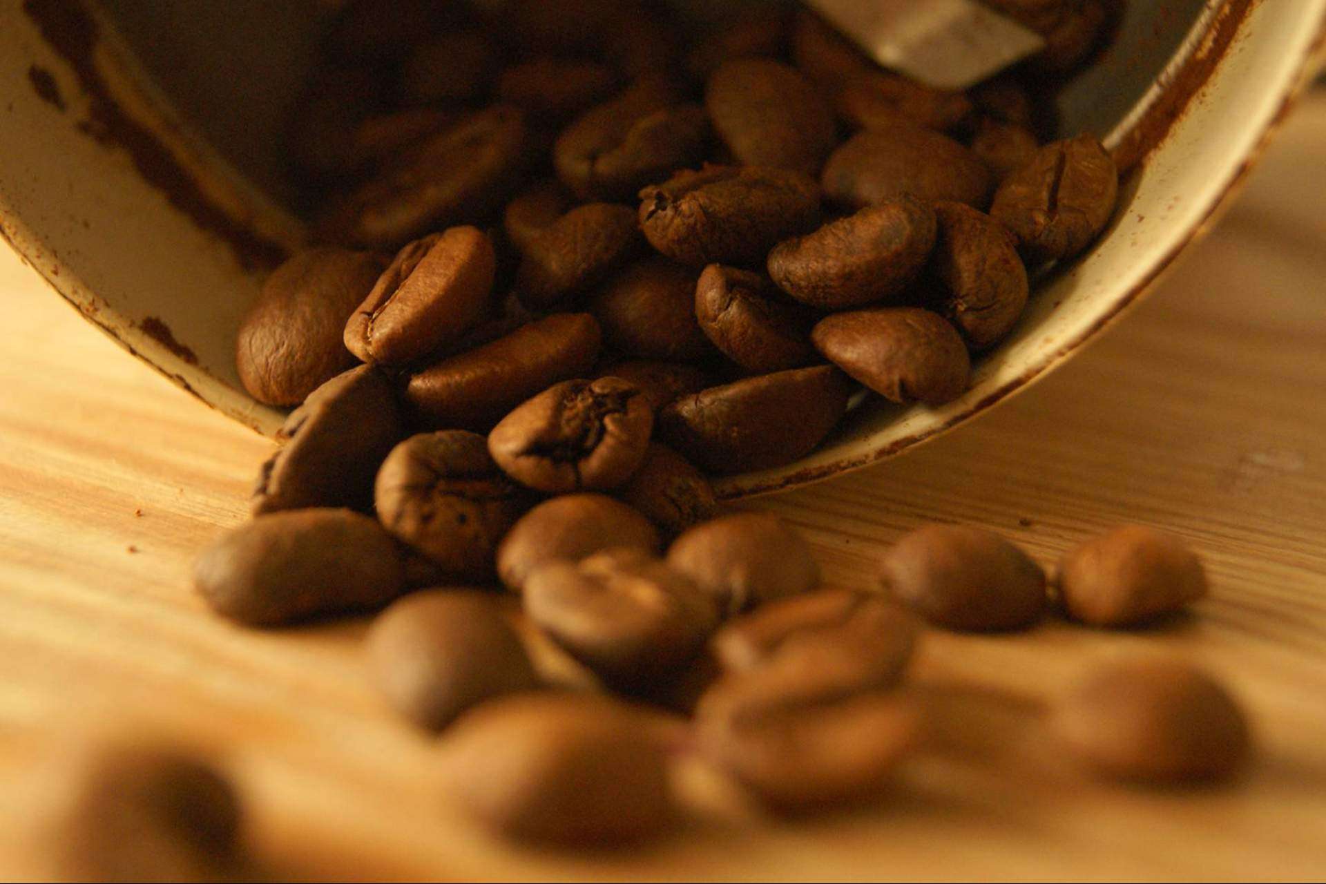 El café especial de Cafés Guayacánse posiciona entre uno de los mejores