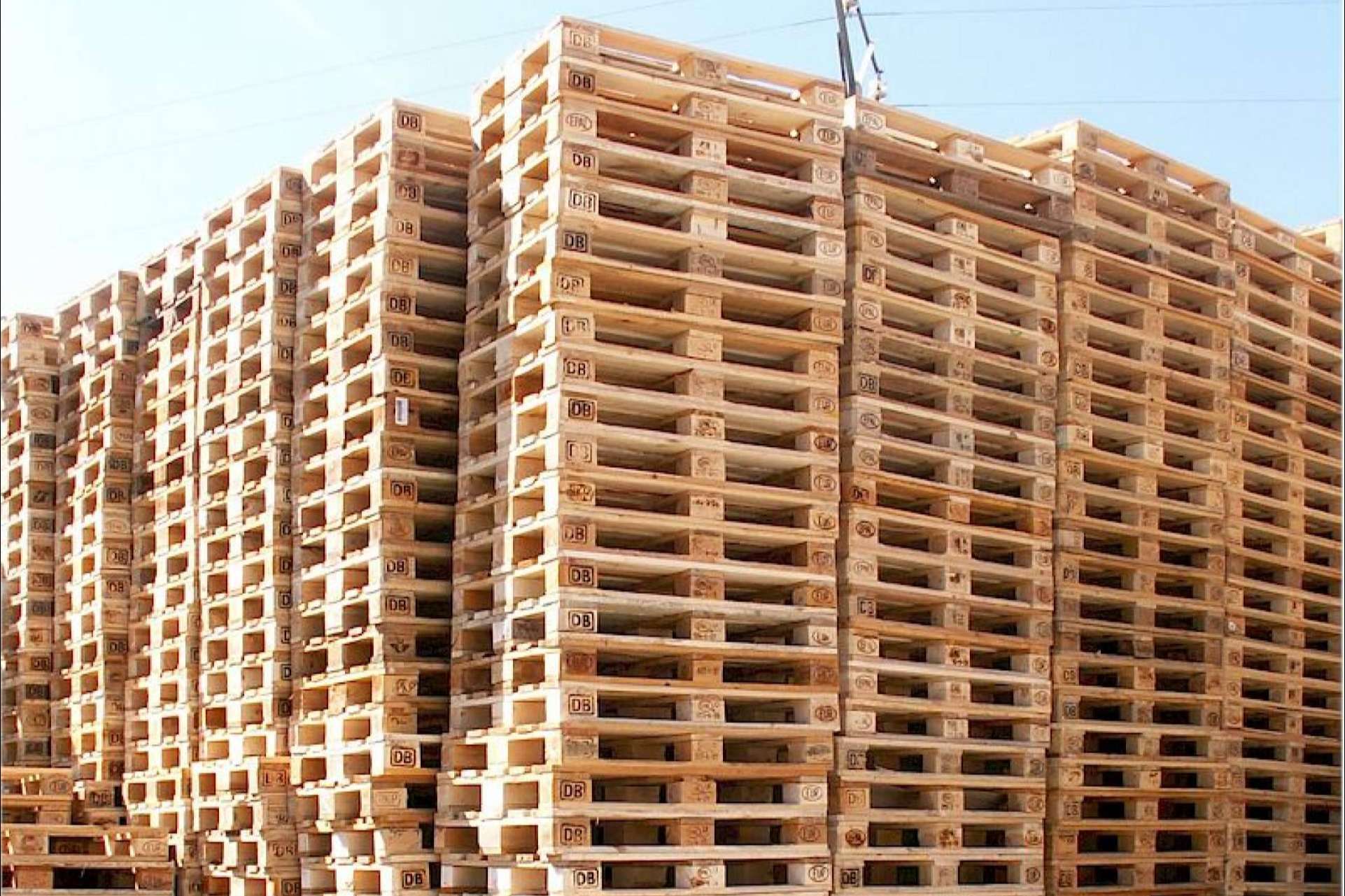 Europalet: la crisis de materias primas a nivel internacional afecta a la producción de palets