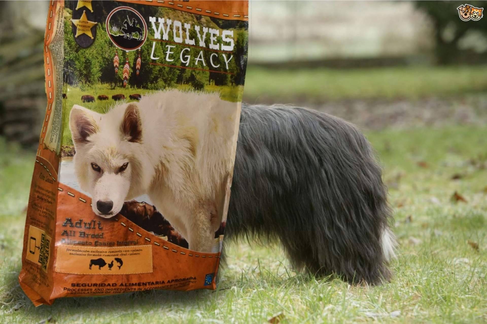 Wolves Legacy obtiene algunas de las mejores opiniones del pienso para perros