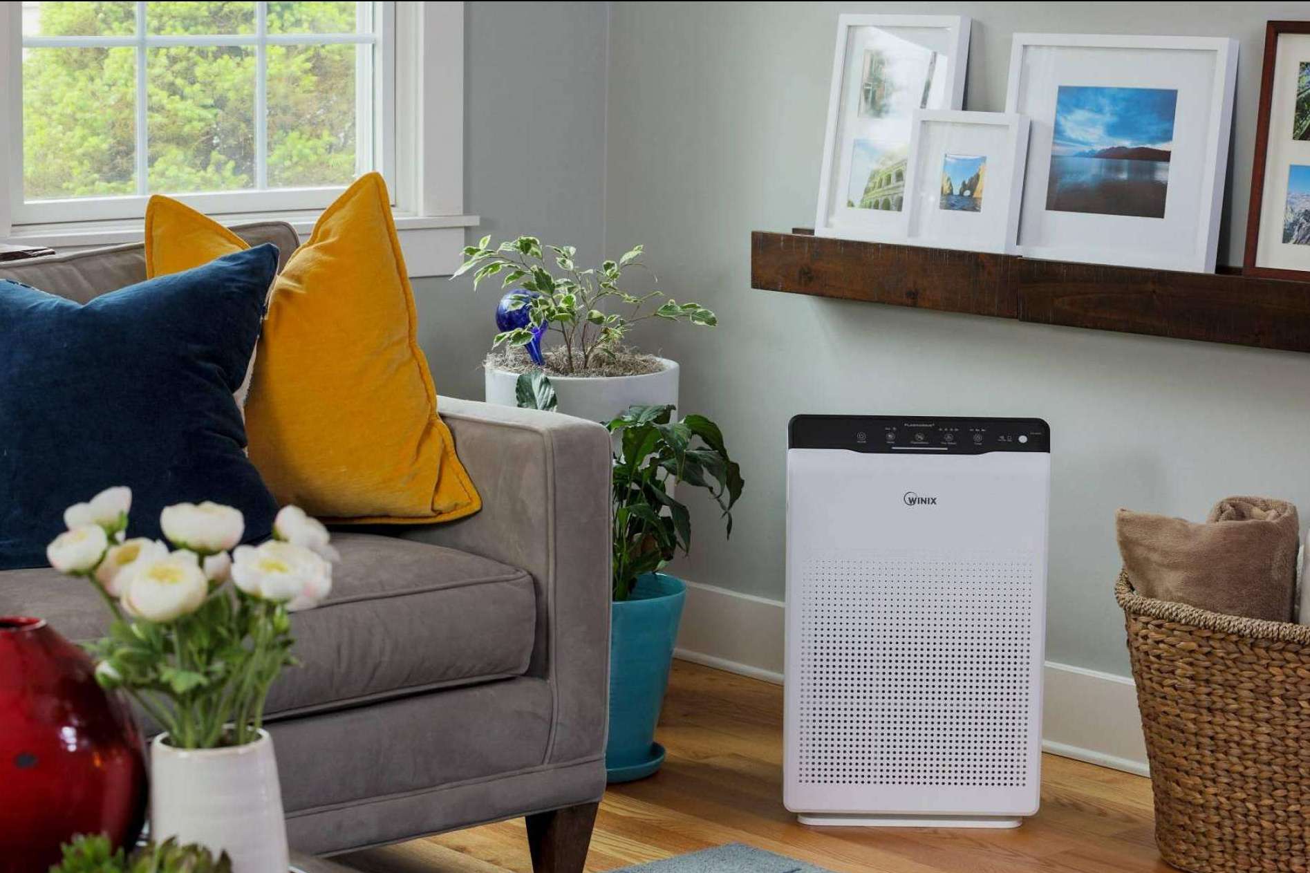 Protect Soiart Distribución: las ventajas de los purificadores WINIX