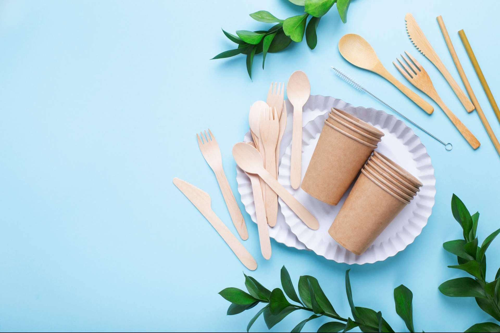 Menaje ecológico desechable para celebrar y cuidar el medioambiente: Ecofiesta