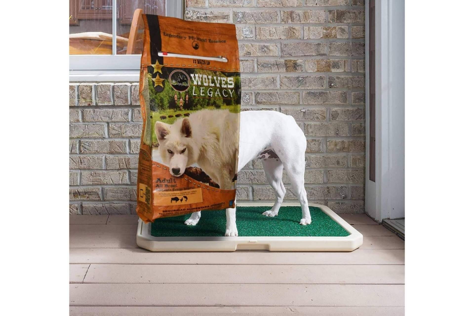 Wolves Legacy: los mejores piensos para perros ¿Tendrían que ser variados?
