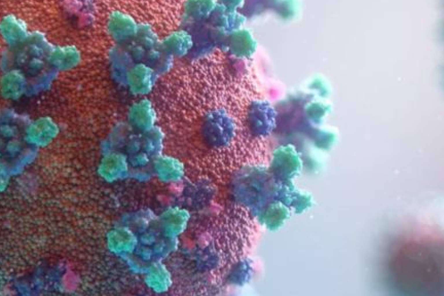 Tratamiento con láser para eliminar las verrugas genitales producidas por VPH en FLG Clinic