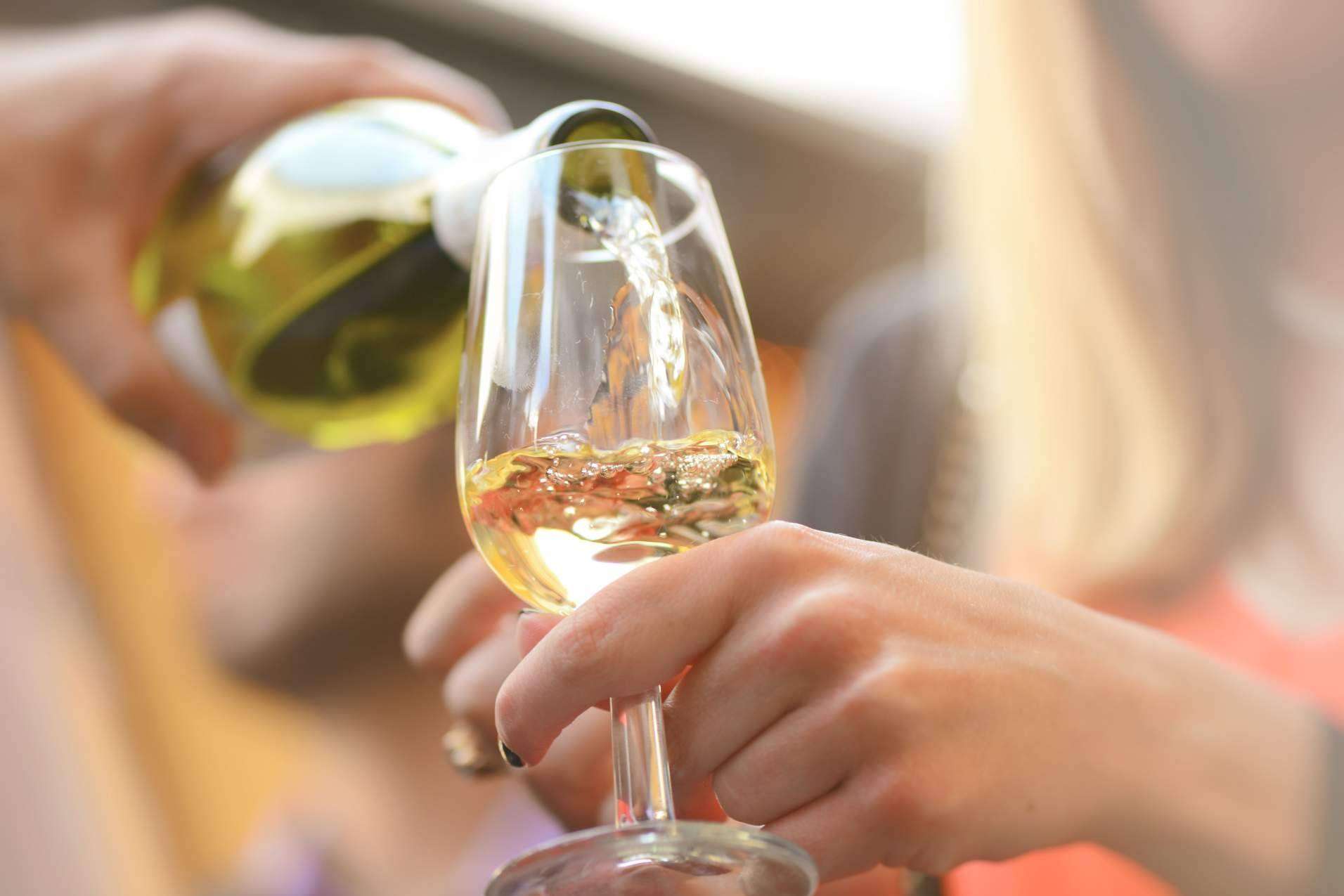 El arte de compartir el vino: De Gálvez presenta la colección de sus mejores vinos