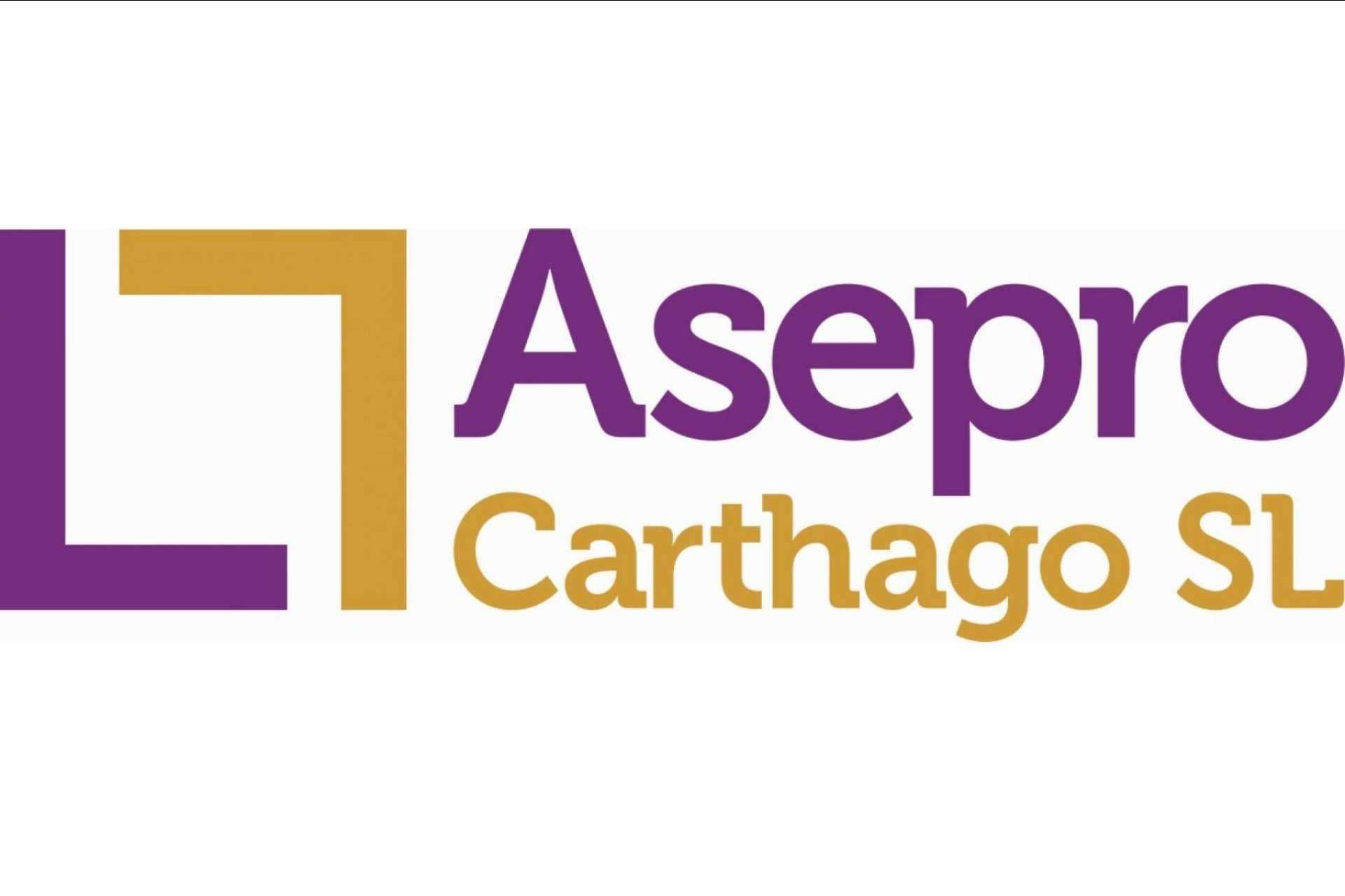 ¿Por qué es importante la contabilidad para la gestión de un negocio?, por Asepro Carthago