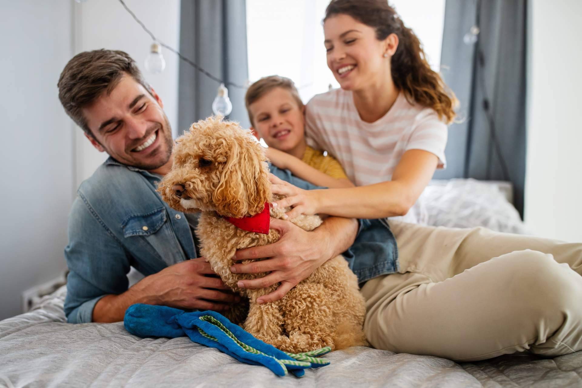 La antrozoología y etología del perro y del gato. Consejos para una buena convivencia con perros y gatos