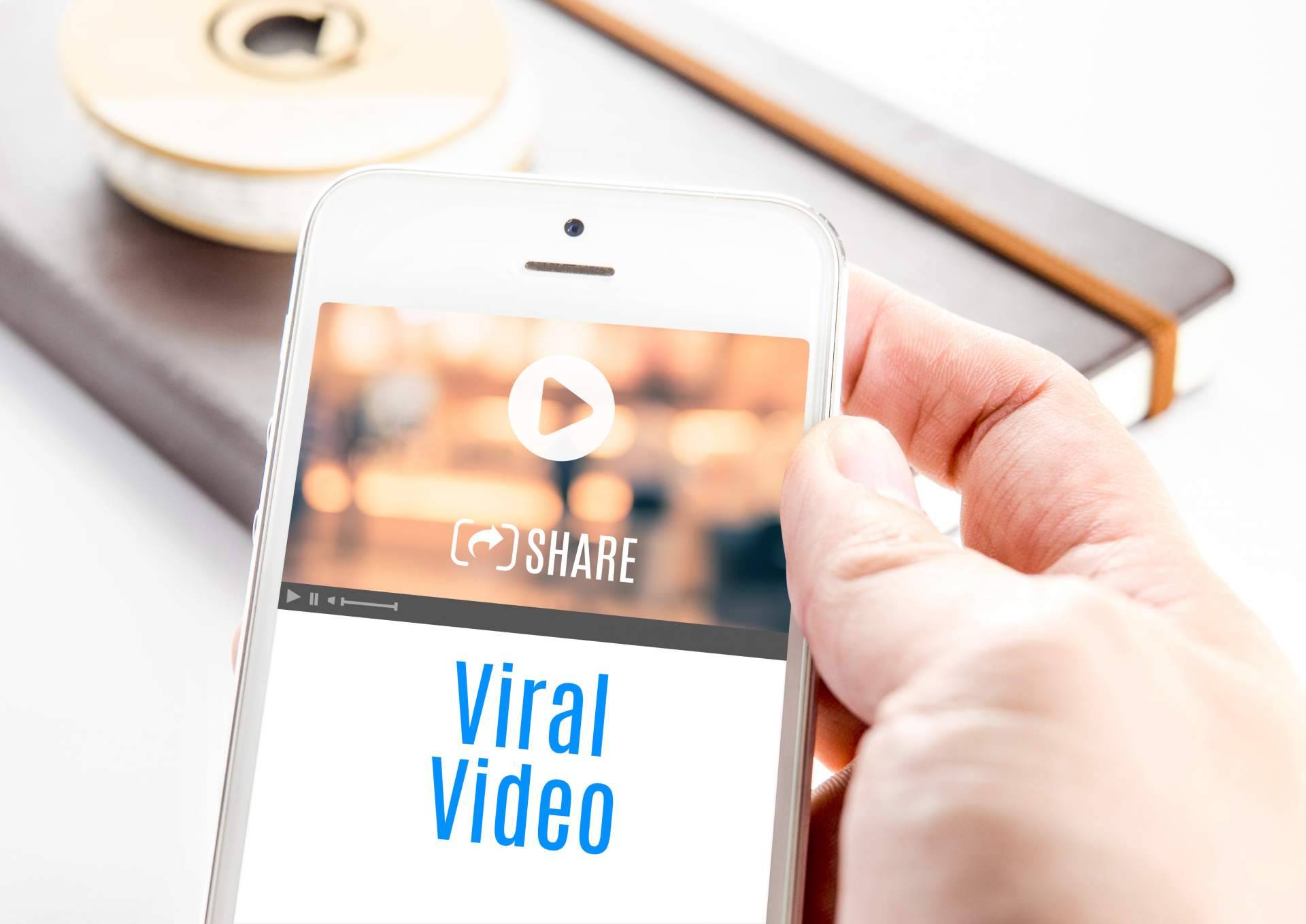 Todos los contenidos virales del momento están disponibles en la página web Virolico