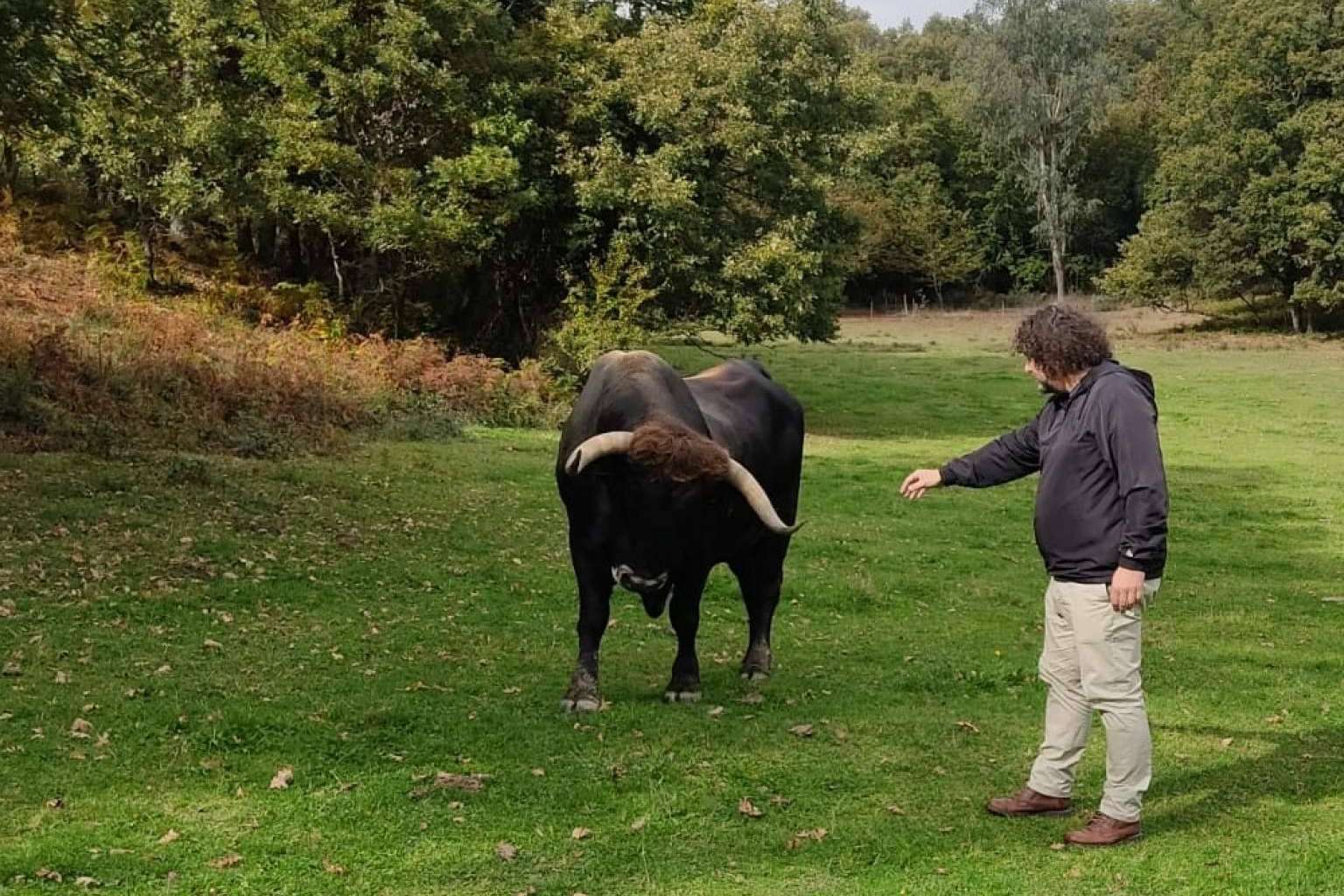 ¿Cuál es la historia del chuletón de Moaña?, por Taberna A de Lino