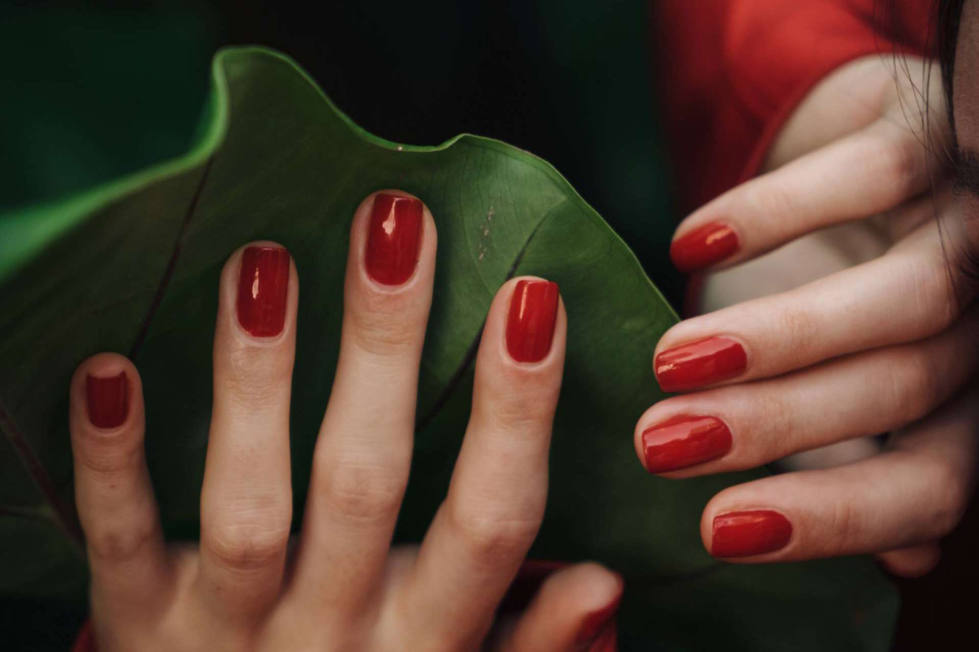 La revolución en la cosmética de los productos de Kunal Cosmetic veganos, cruelty free y no tóxicos