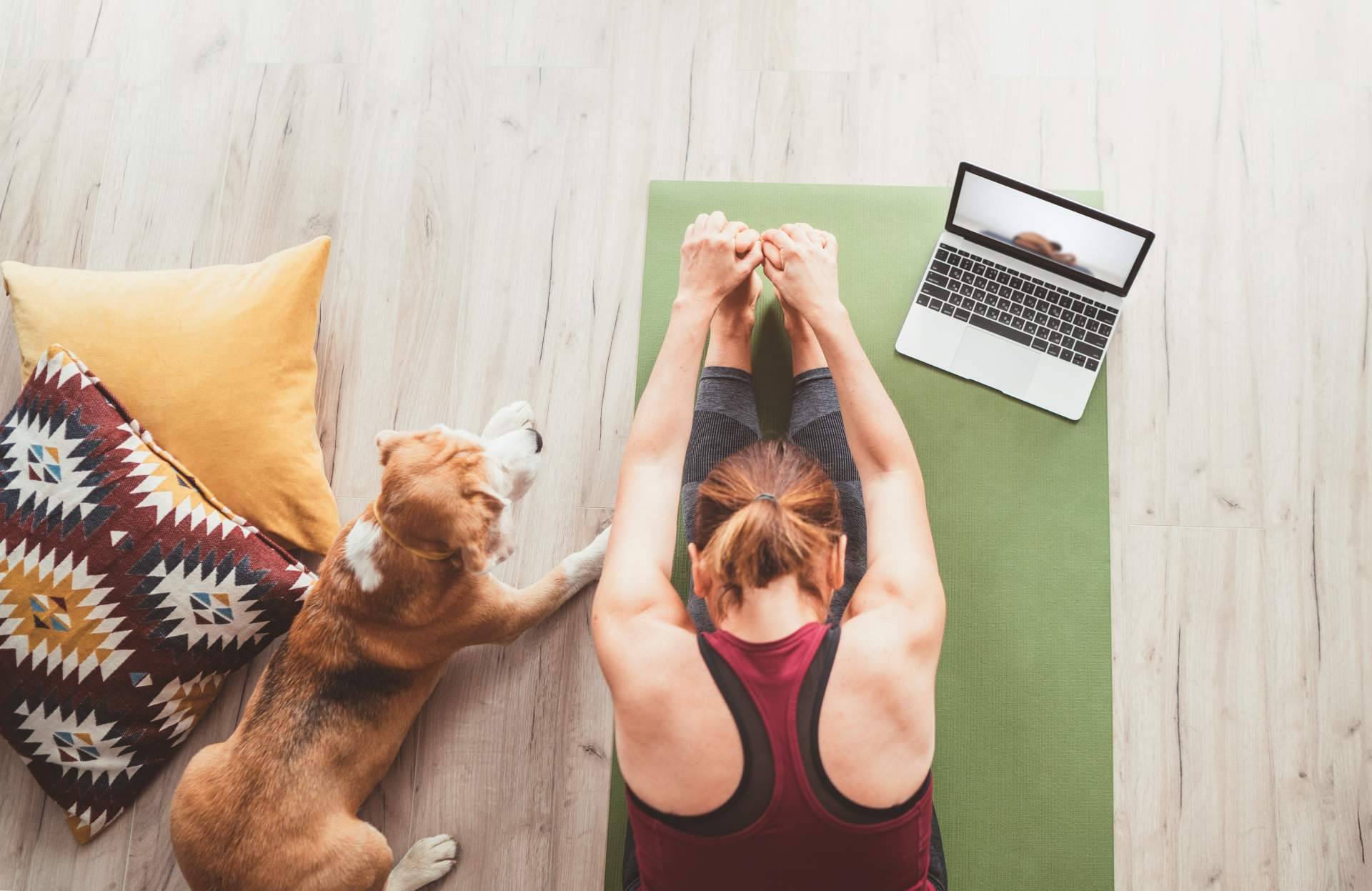 El Centro de Yoga Kavaalya ofrece el curso online de profesor de yoga
