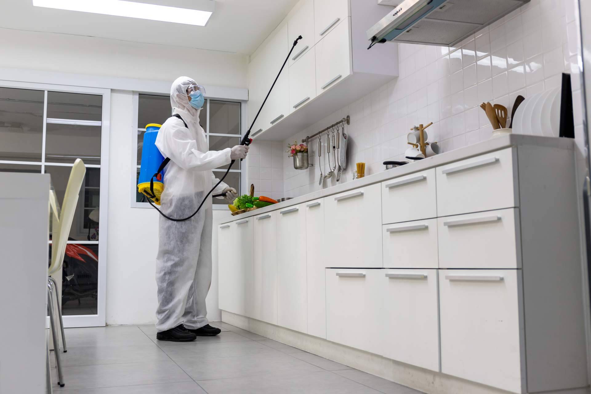 El impacto de la pandemia en las compañías de control y desinfección de plagas, por LEU Servicios