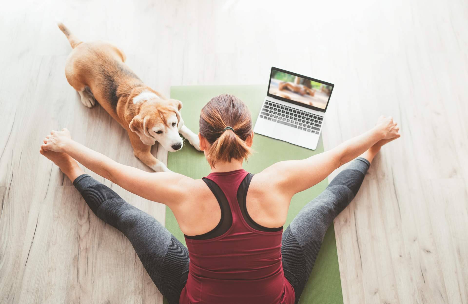 Profesorado de Yoga recomienda diferentes cursos online para profundizar en este arte