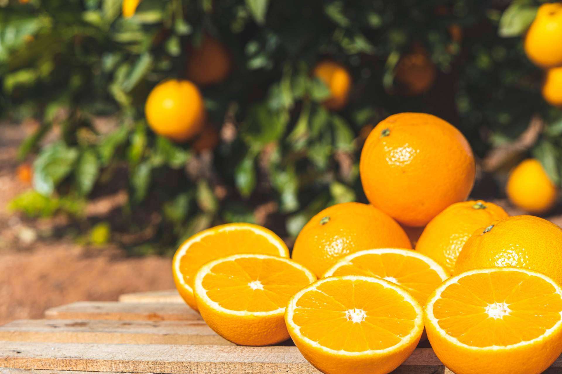¿Cuáles son las ventajas de comprar naranjas online? Naranjas Quique