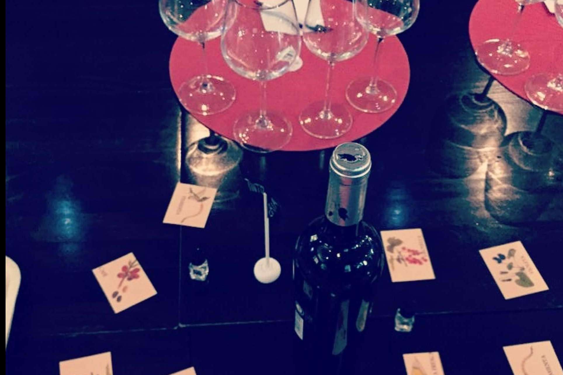 Uvas en recuperación y pequeñas bodegas, las protagonistas de las catas de vino de Envero Tinto