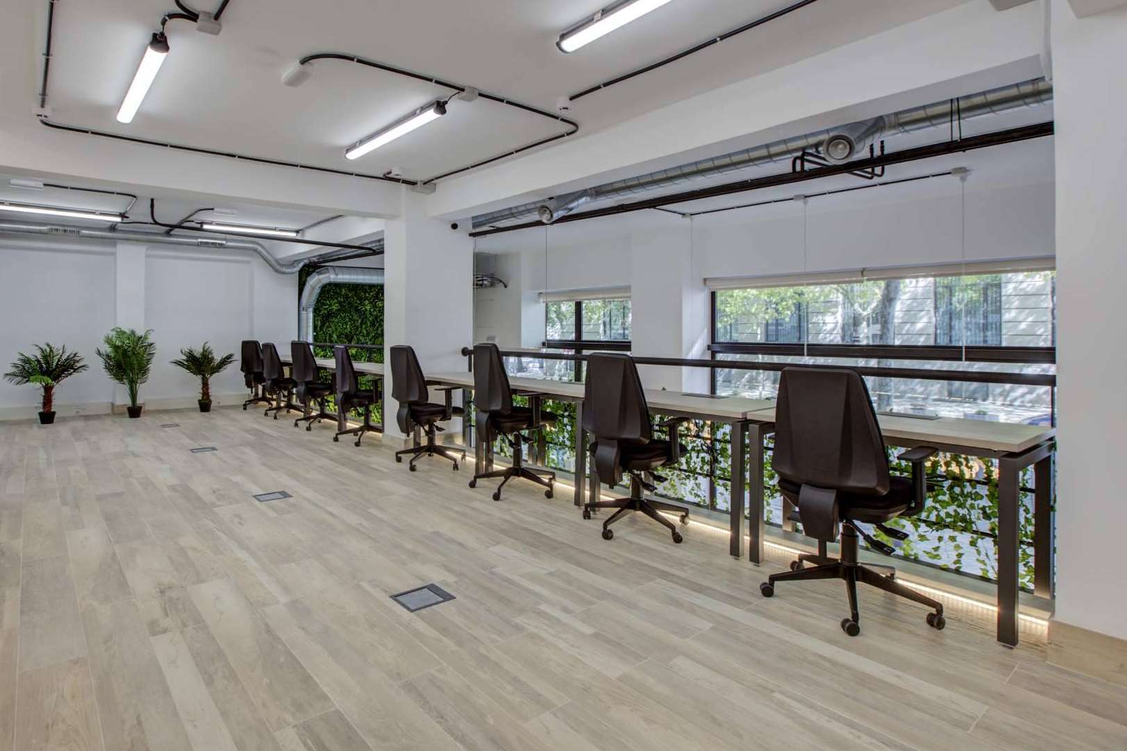 Los que trabajan en el Coworking Bernabéu han tenido un aumento de la privacidad e independencia