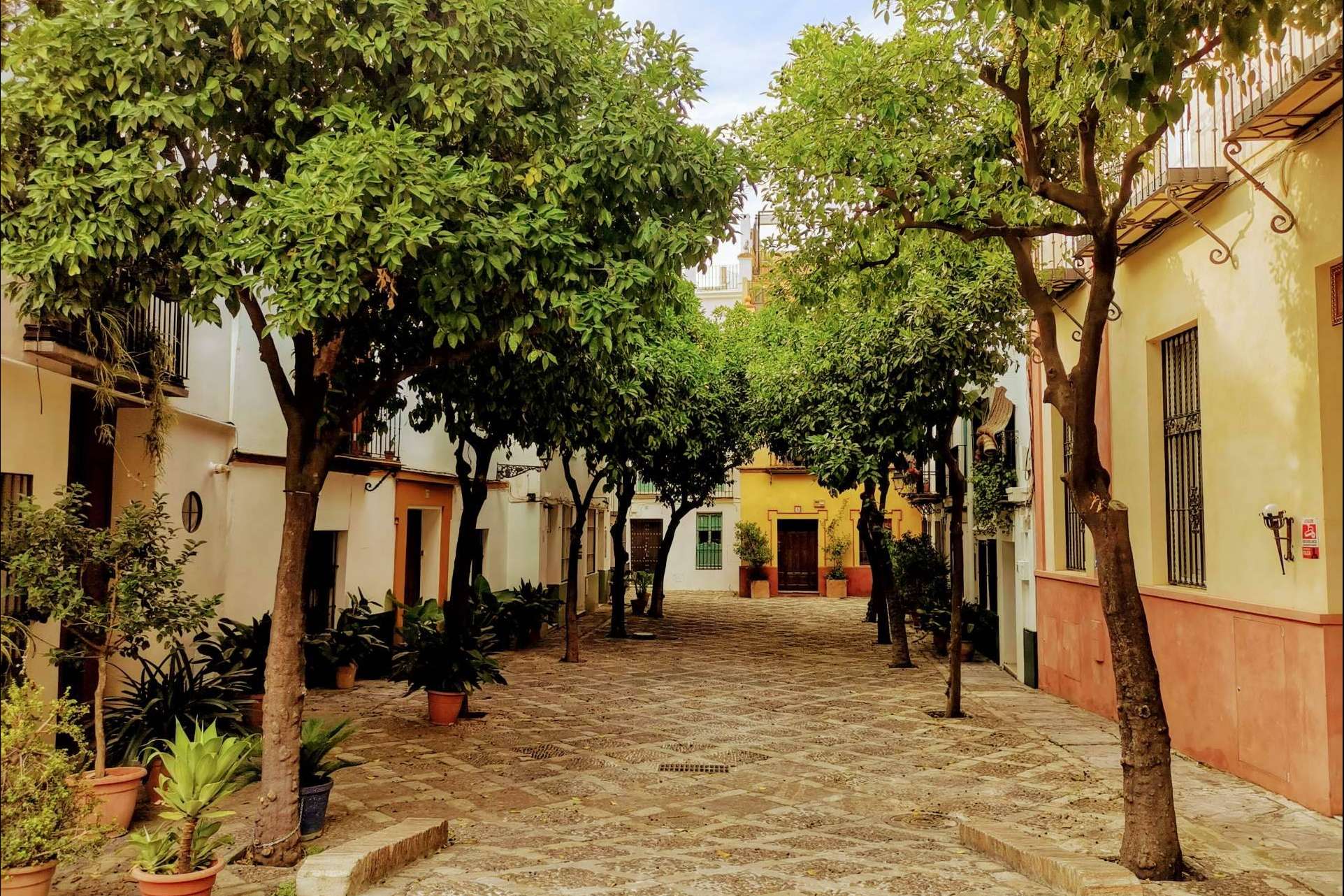 Las visitas guiadas en Sevilla con Tu guía de Sevilla
