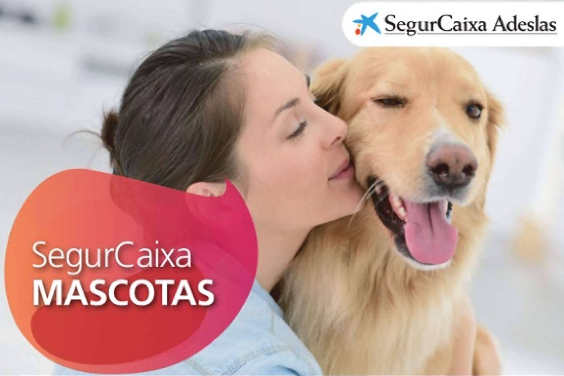 El seguro para perros y gatos de Adeslas Mascotas que protege la salud de las mascotas y de sus dueños