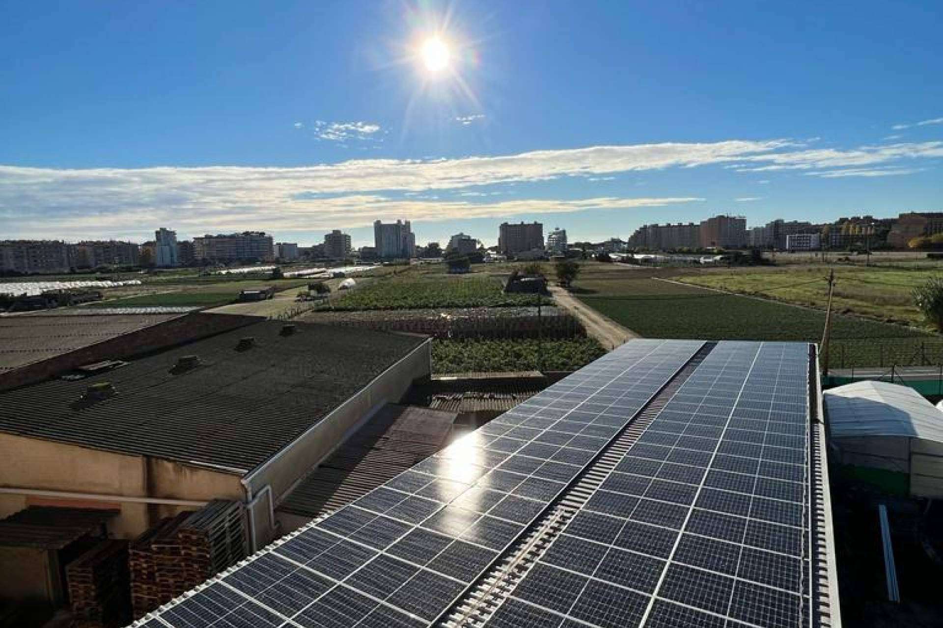 Energiber Consulting apuesta por la eficiencia energética