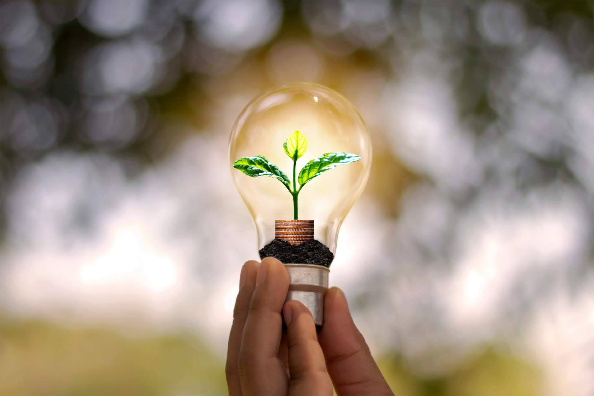 Ingeniería MASRED expone las ventajas de la reducción del IVA de los productos del mercado del autoconsumo al 10%