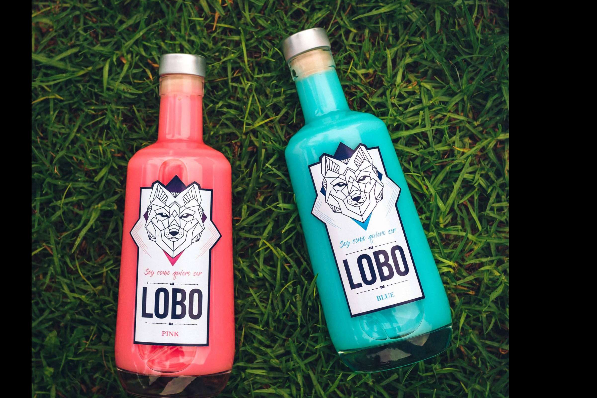 A la conquista de España, de sur a norte, LOBO tequila