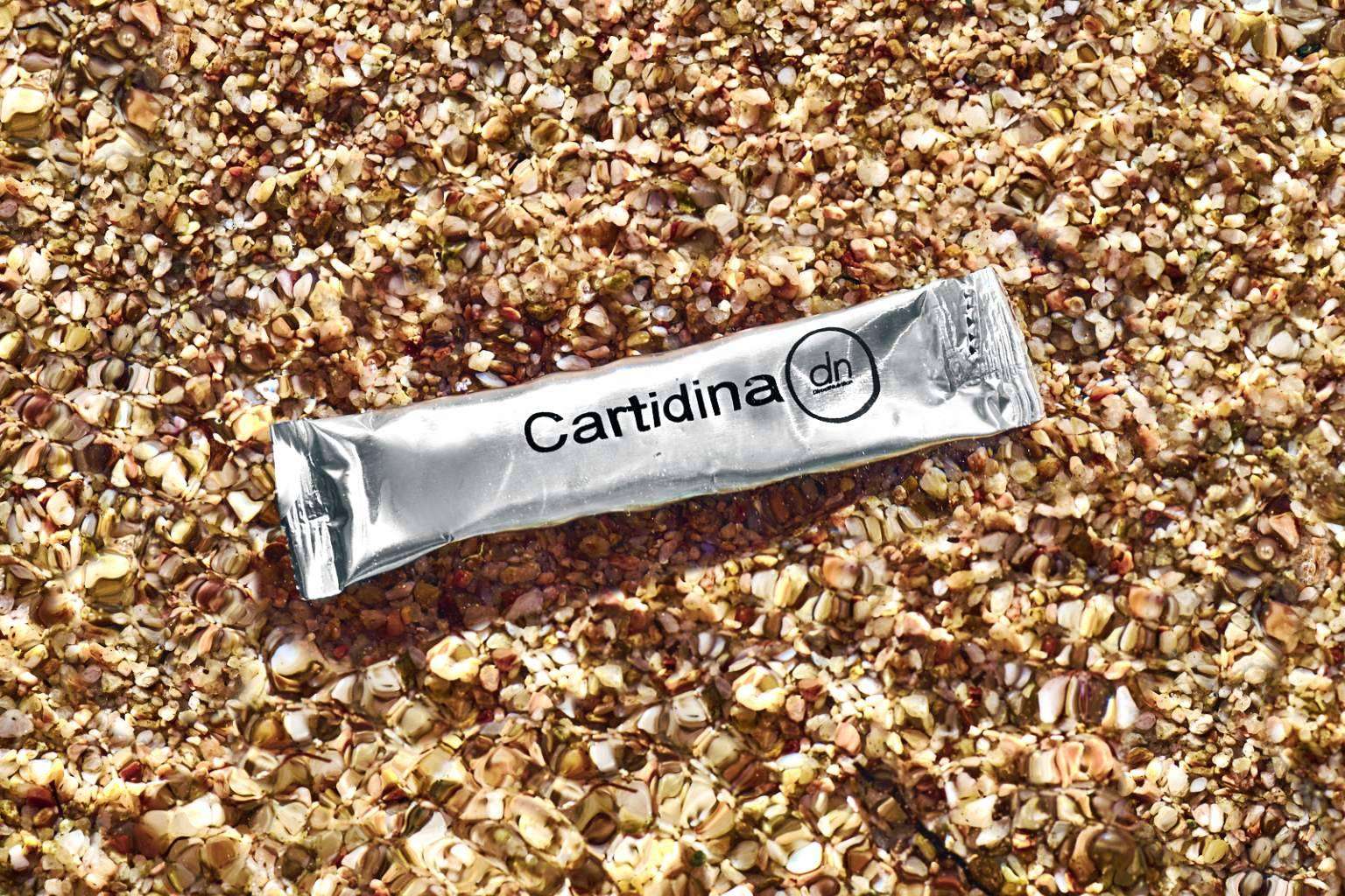 Direct Nutrition y su cartidina brindan protección articular y antiinflamatoria