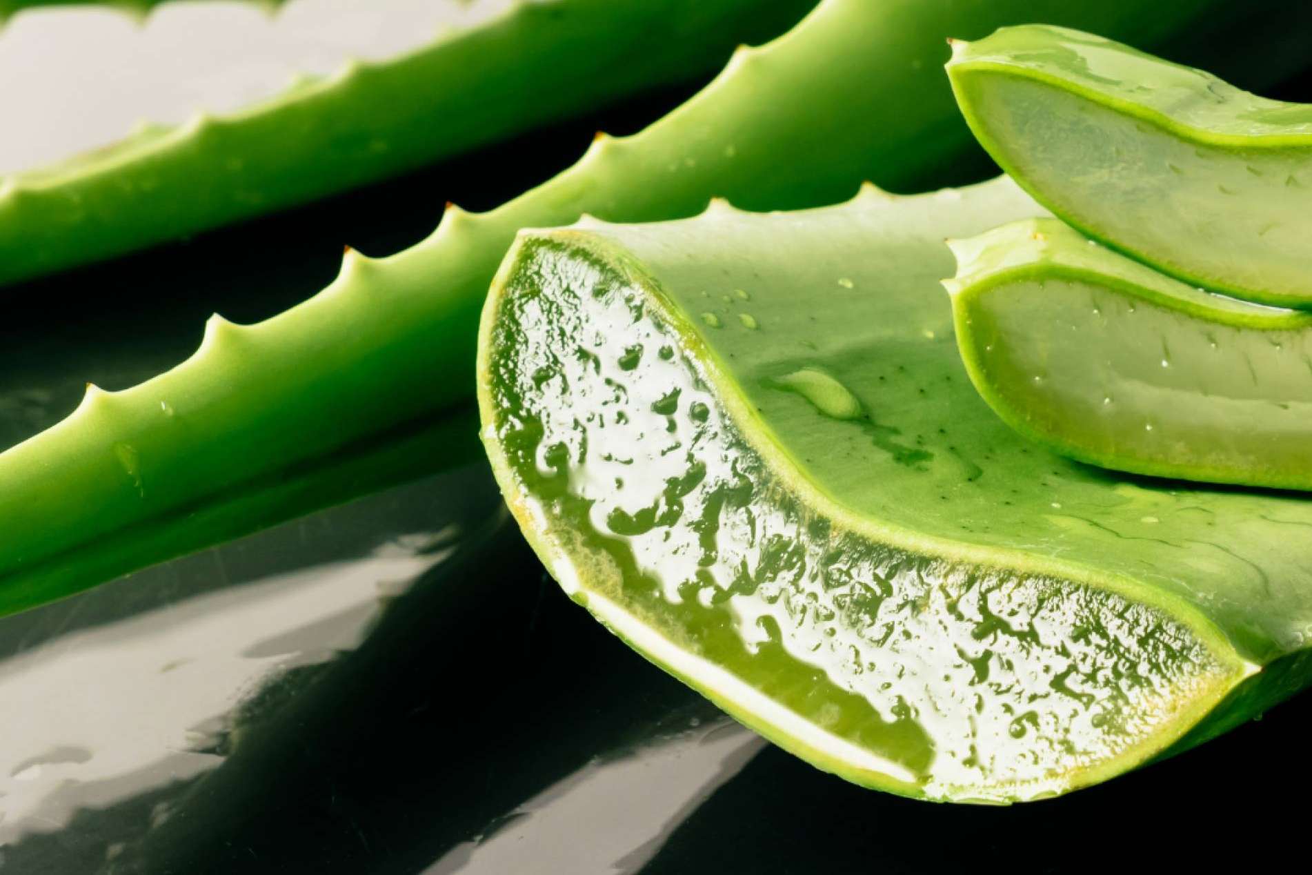 Los beneficios del aloe vera en la cosmética de CrisEssens