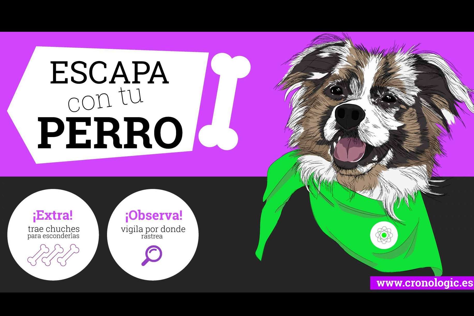 Disfrutar con perros en Cronologic, un escape room dogfriendly en Barcelona