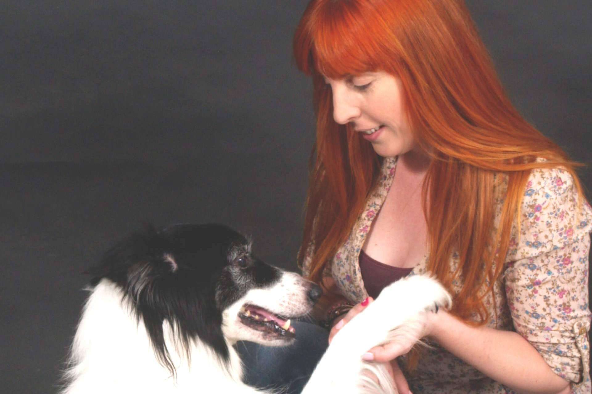 La educación canina no es lo que la gente cree que es