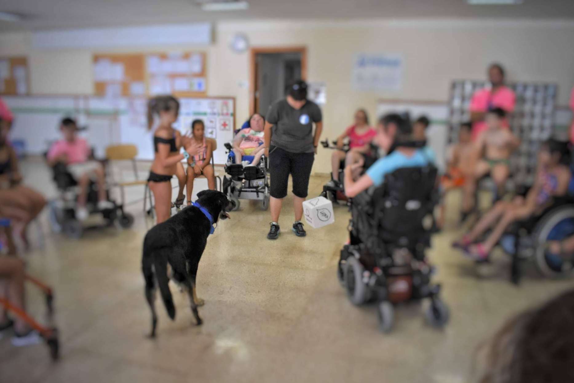 La Asociación Española de Perros de Apoyo fomenta la terapia asistida con perros