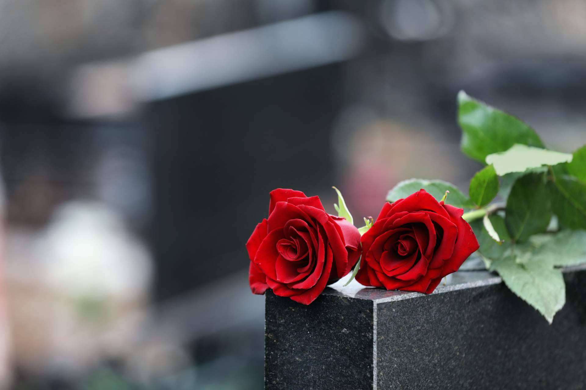 ¿Cuál es el buscador de tanatorios y funerarias?, por Tanatorio en Pamplona