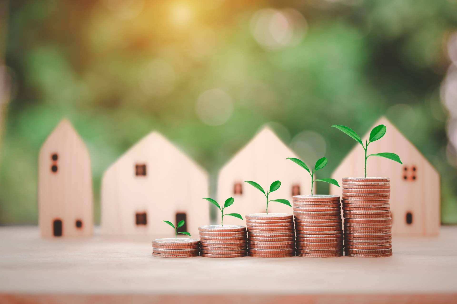 Inversión inmobiliaria con criptomonedas, de la mano de Francisco José Suárez Díaz
