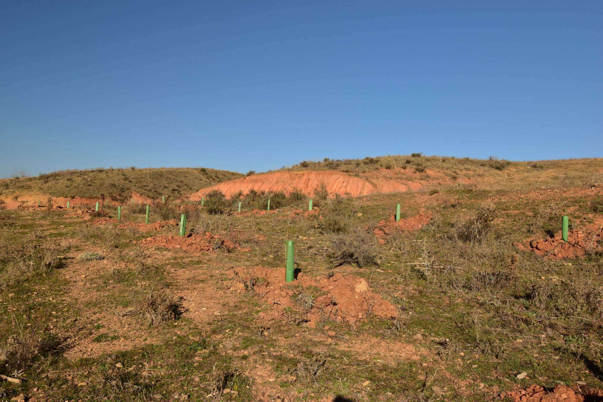 La innovadora campaña de Fundación Alcoraz y la empresa ICT para cuidar del medioambiente