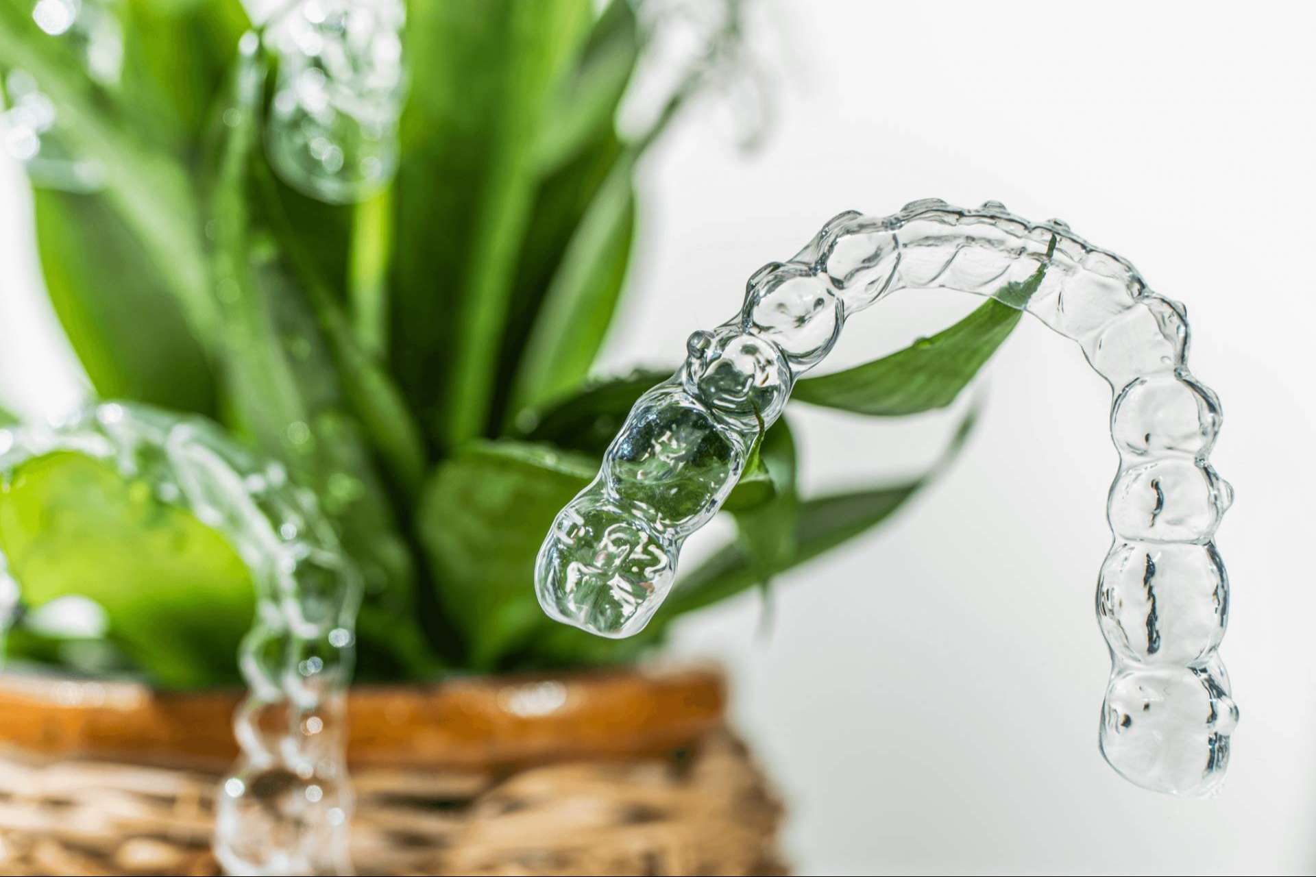 Corporación Dental ofrece un presupuesto y un diagnóstico previo para saber el precio Invisalign