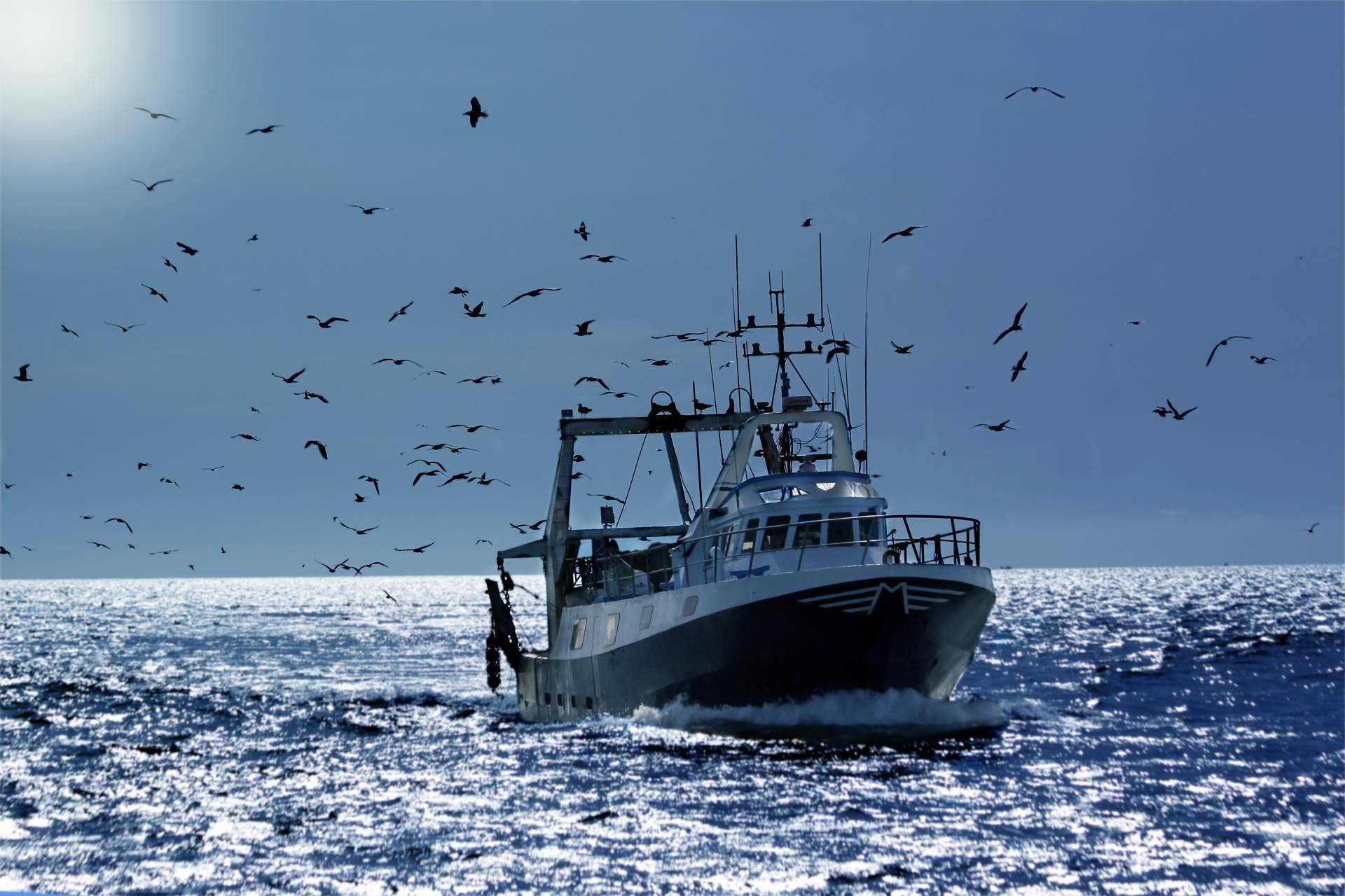 El catálogo de herrajes de la tienda de accesorios para barcos Nova Argonautica