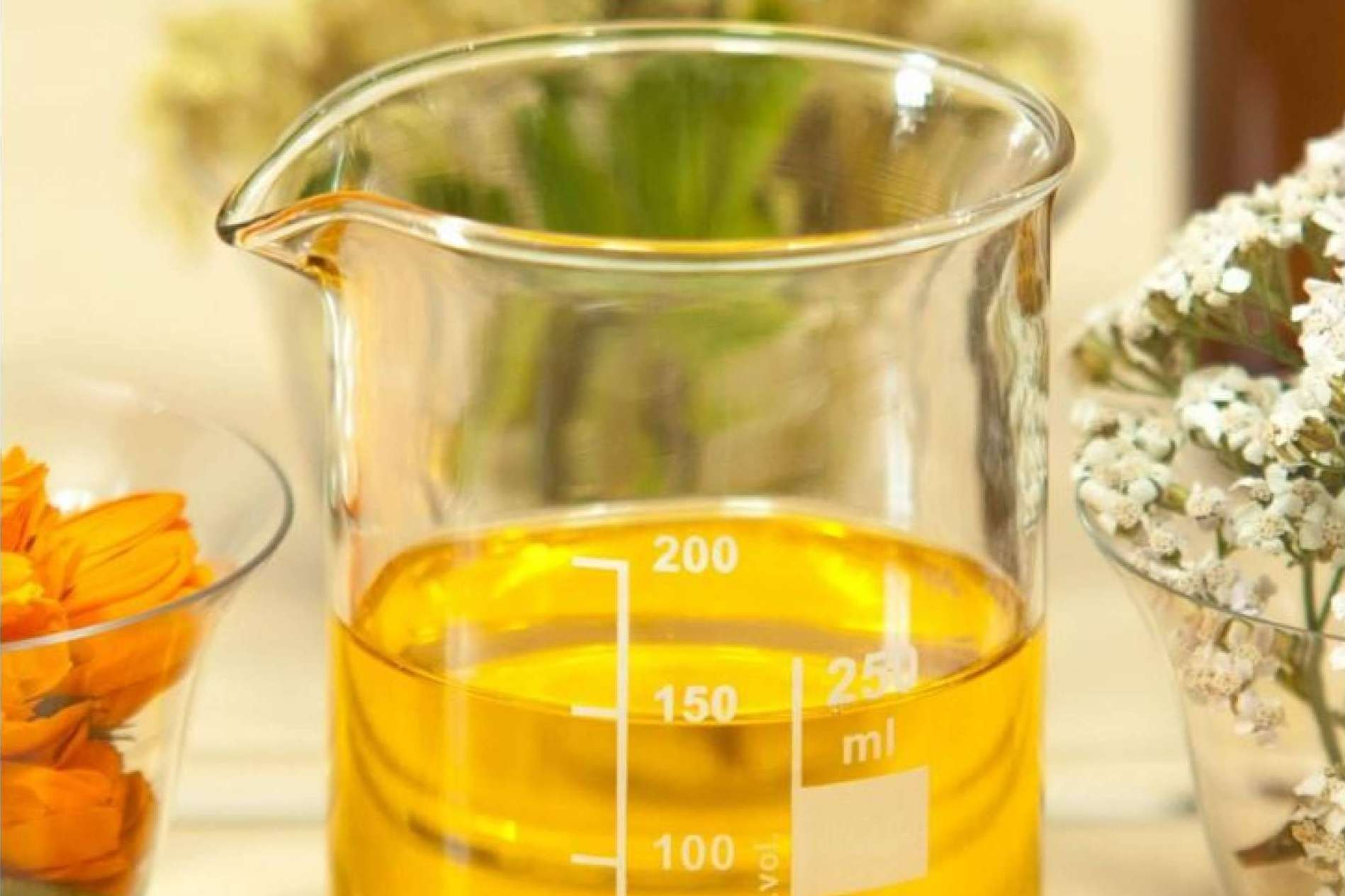 Royal Bio, la multinacional española con sede en Murcia, lanza su apuesta más potente con su tienda online para conquistar el mercado español y europeo