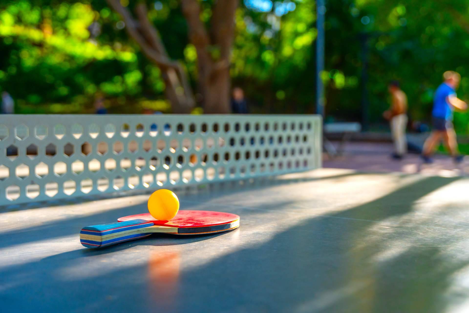 SPORT AND TREND dispone de un amplio catálogo de productos para practicar el tenis de mesa