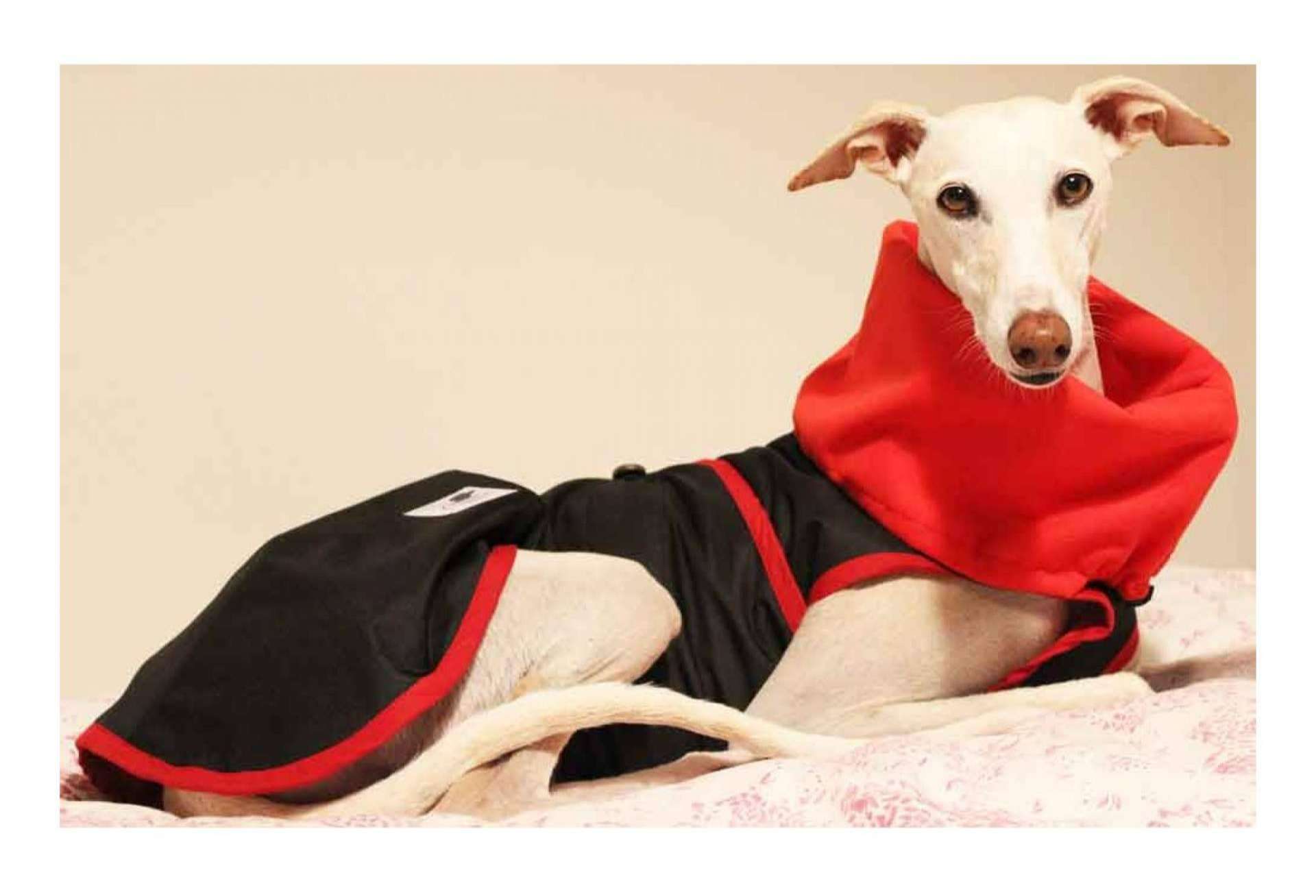 Accesorios exclusivos para mascotas en la parafarmacia Lucas & Lola