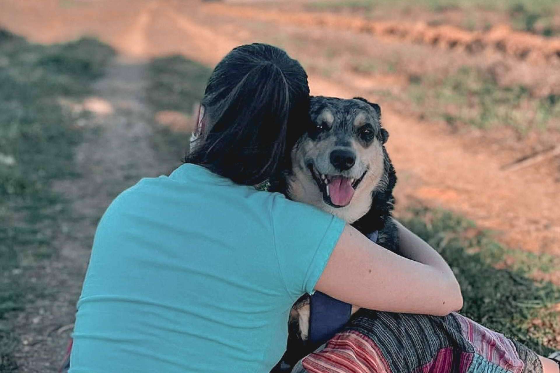 Cómo ayudar a los perros reactivos, por Ulises y Argos